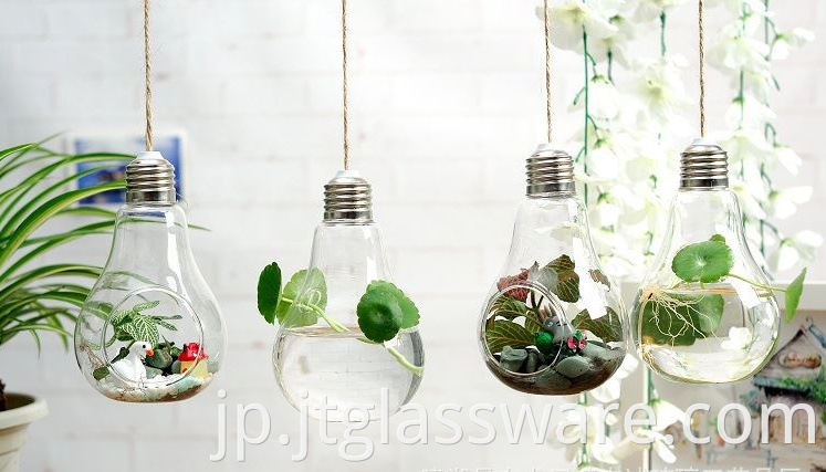 Hanging Clear Glass Vase 